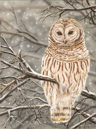 Framed Snowy Owl Print