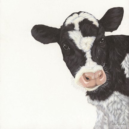 Framed Cow Print