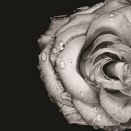 Framed Lost Love Print