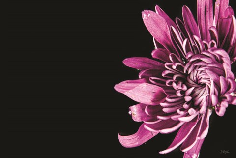 Framed Love Intertwined II Print