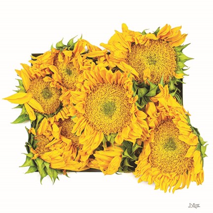 Framed Fall Feels II Print