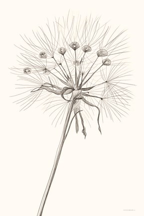 Framed Moments Print