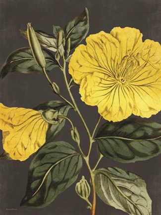 Framed Yellow Vine Print