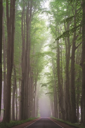 Framed Foggy Road Print