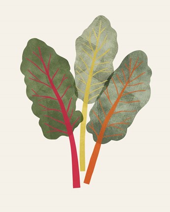 Framed Organic Veg V Print