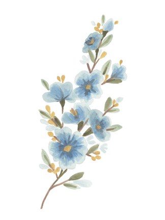 Framed Wildflower Sprig II Print