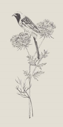 Framed Nature with Bird II Print