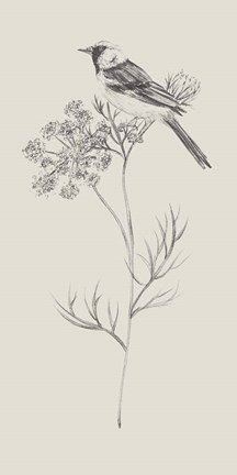 Framed Nature with Bird IV Print