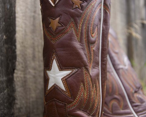 Framed Boots with Star Print