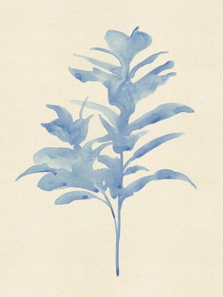 Framed Verditer Fig I Print