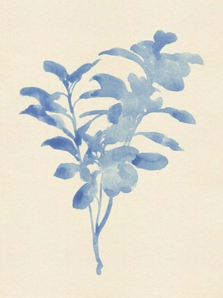 Framed Verditer Fig II Print