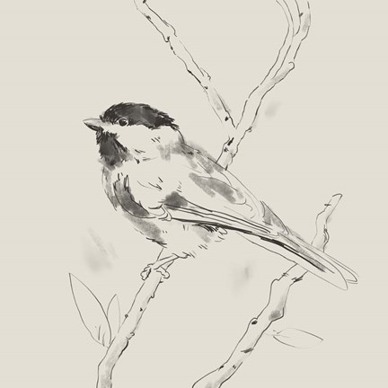 Framed Black Capped Chickadee II Print