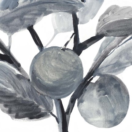 Framed Rustic Vine I Print