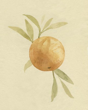 Framed Dappled Oranges I Print