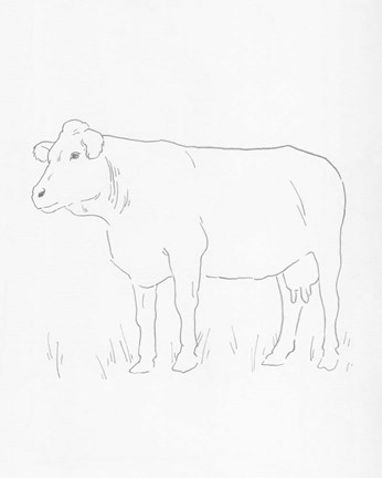 Framed Limousin Cattle IV Print