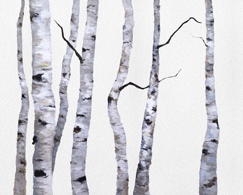 Framed Birch Trees I Print
