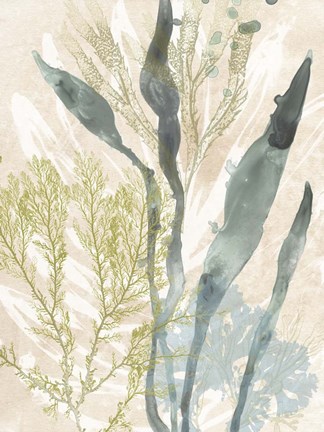 Framed Vintage Ocean Jewels I Print