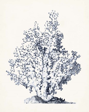 Framed Blue Antique Coral I Print