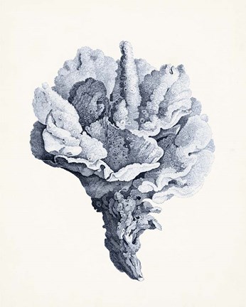 Framed Blue Antique Coral III Print