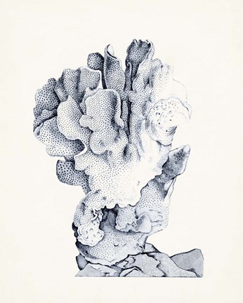 Framed Blue Antique Coral IV Print