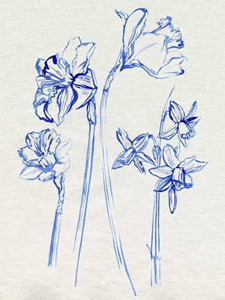 Framed Inky Daffodils I Print