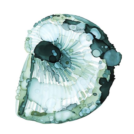 Framed Blue Barnacle II Print