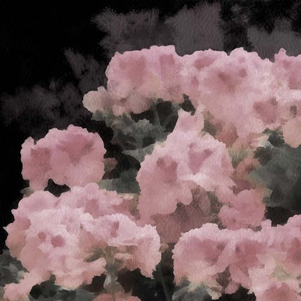 Framed Blush Rush I Print