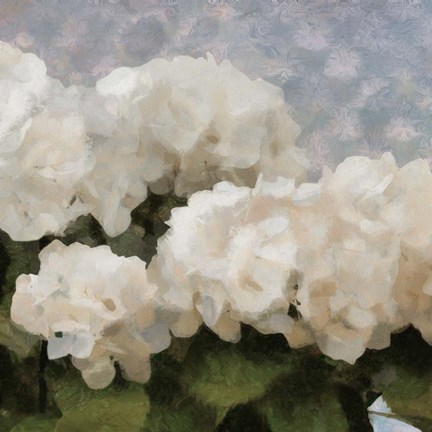 Framed Sunday Flowers II Print