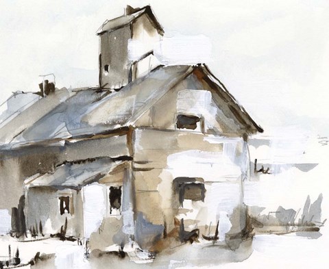 Framed Dilapidated Barn II Print