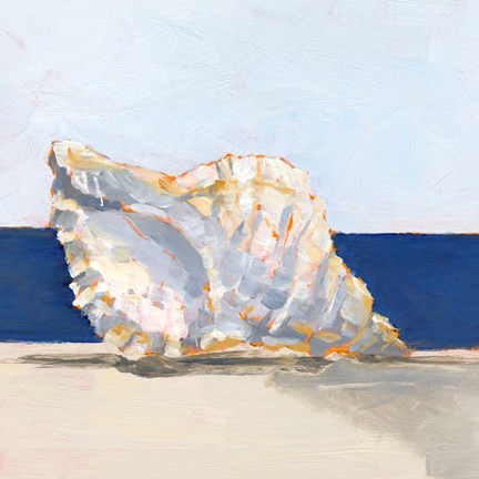 Framed Shell By the Shore III Print