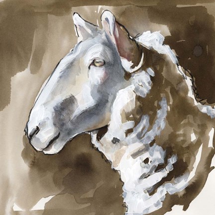 Framed Side Eye Sheep II Print