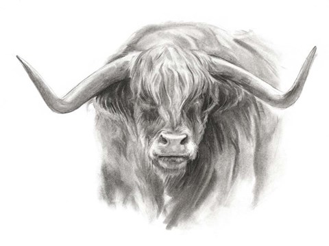 Framed Soft Focus Highland Cattle II Print