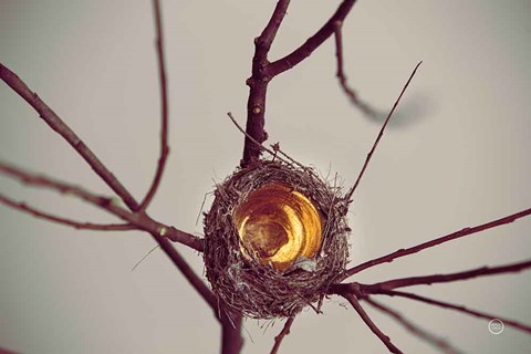 Framed What is Golden Print