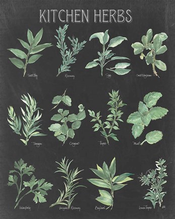 Framed Kitchen Herb Chart on Black I Print