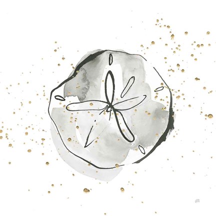 Framed Sand Dollar I Print