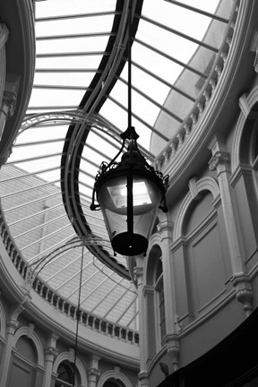 Framed Rotunda Print