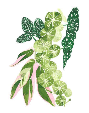 Framed Green Thumb I Print