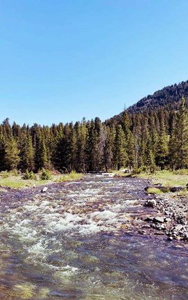 Framed Lovely Stream Print