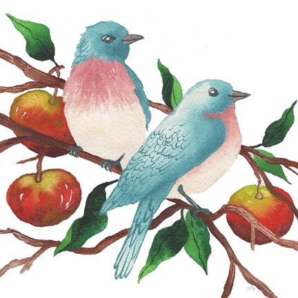 Framed Birds and Apples Print