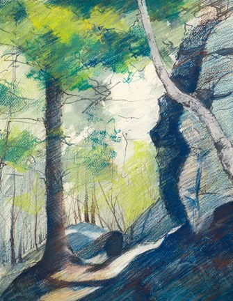 Framed Sunrise in the Woods Print