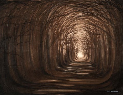 Framed Sundown In A Forest Print