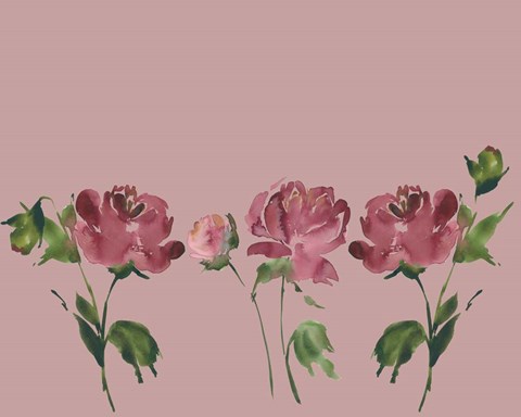 Framed Trio Of Peonies Print