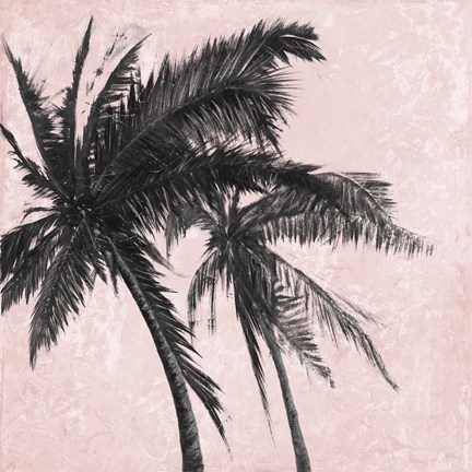 Framed Gray Palm on Pink II Print