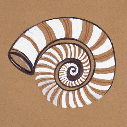 Framed Ocean World Shell Print