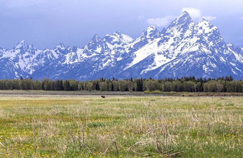 Framed Foothills Print
