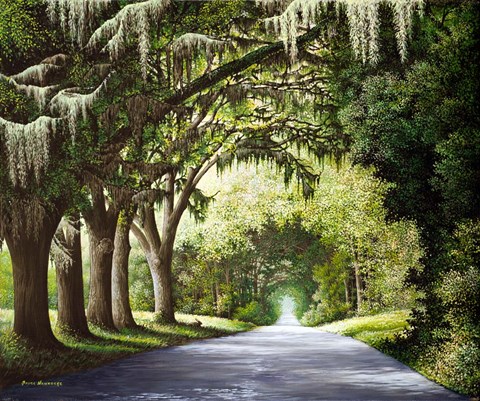 Framed Down The Rabbit Hole Print