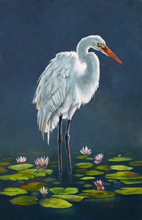 Framed Egret Amongst The Lily Pads Print