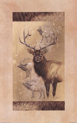 Framed Elk Print