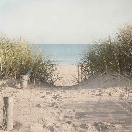 Framed Beach Grasses Print