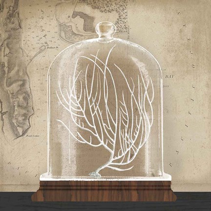 Framed Coral Cloche II Print